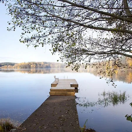 Hopeaniemi