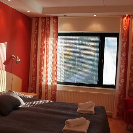 Hotel Hopeaniemi