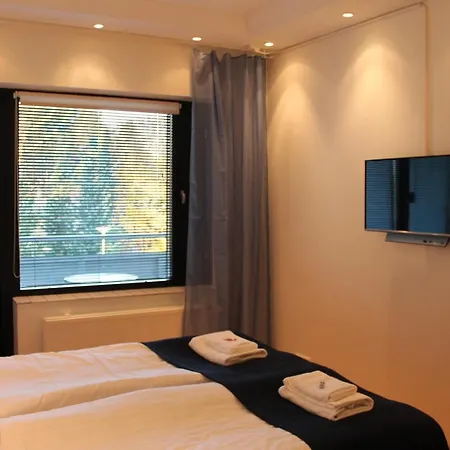 Hopeaniemi Hotel Vihti