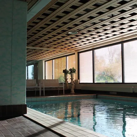 Hopeaniemi Hotel 3*