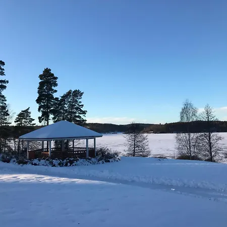 Hopeaniemi Vihti